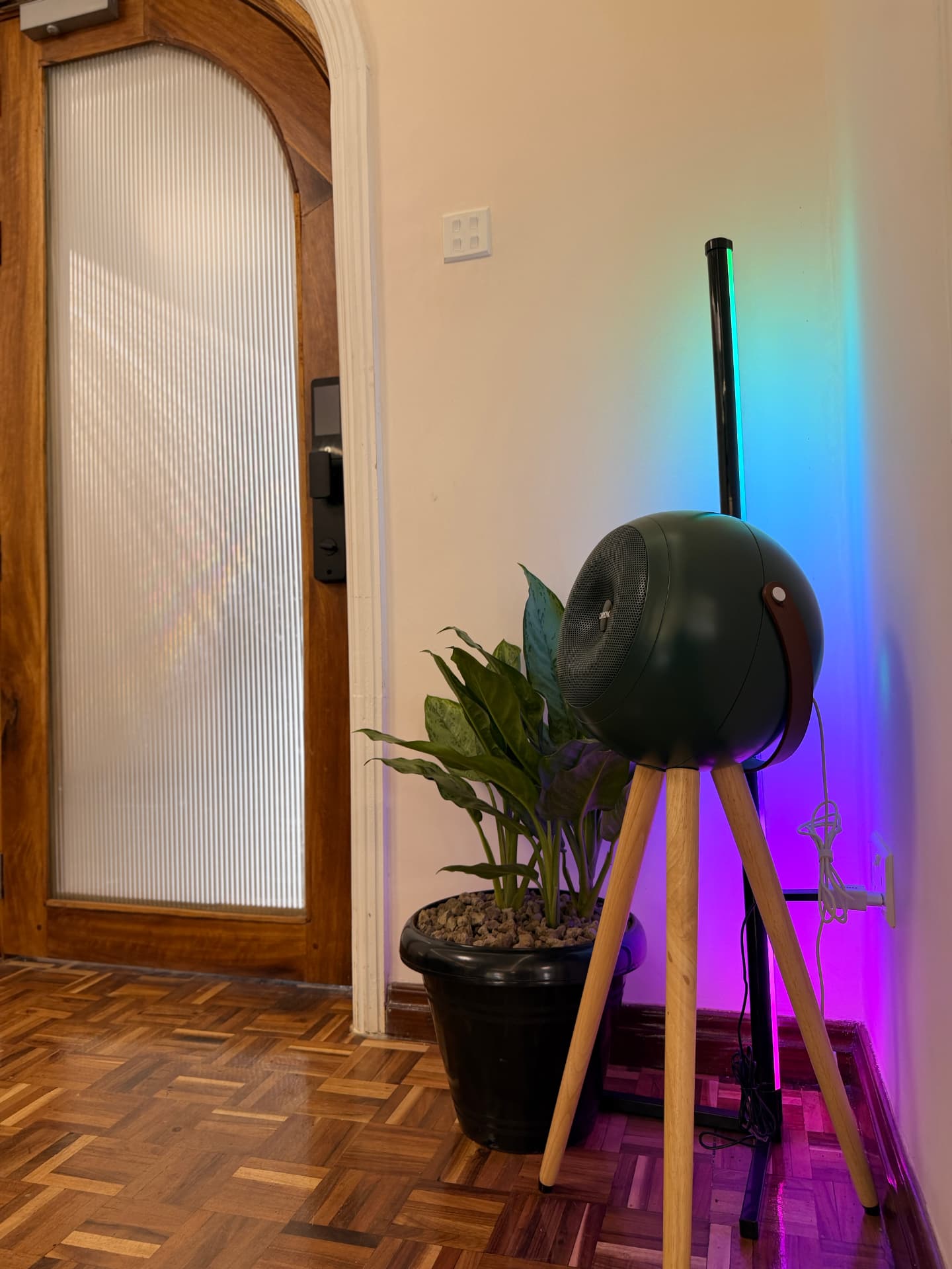 Sculptural speaker and coloured light beside the studio's timber entrance door